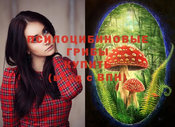 ПСИЛОЦИБИНОВЫЕ ГРИБЫ Белоозёрский