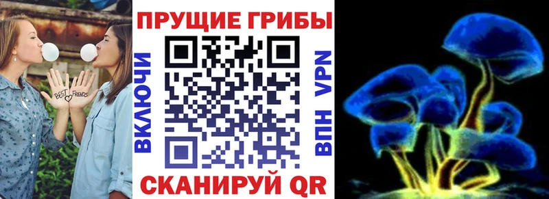 Купить  Балтийск  Галлюциногенные грибы мицелий 